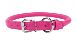 animals & dog collar free transparent png image.