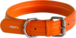 animals & dog collar free transparent png image.