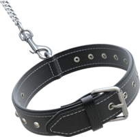 animals & Dog collar free transparent png image.