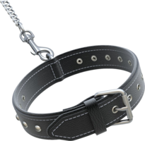 animals & dog collar free transparent png image.