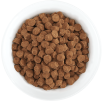 animals & Dog food free transparent png image.