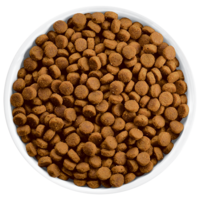 animals & Dog food free transparent png image.