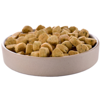 animals & Dog food free transparent png image.