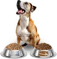 animals & dog food free transparent png image.