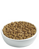 animals & dog food free transparent png image.