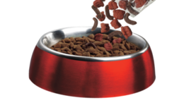 animals & dog food free transparent png image.