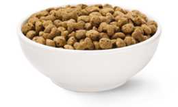 animals & dog food free transparent png image.