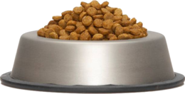 animals & dog food free transparent png image.