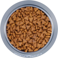 animals & Dog food free transparent png image.