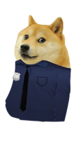 heroes & Doge meme free transparent png image.