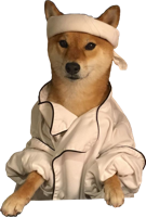 heroes & Doge meme free transparent png image.