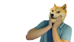 heroes & Doge meme free transparent png image.