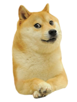 heroes & doge meme free transparent png image.