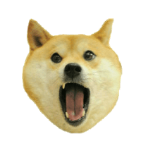 heroes & doge meme free transparent png image.