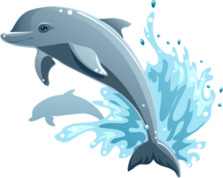 animals & dolphin free transparent png image.