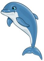 animals & dolphin free transparent png image.