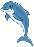 animals & Dolphin free transparent png image.