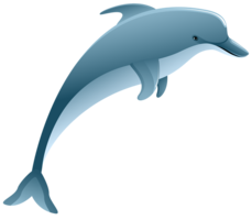 animals & dolphin free transparent png image.