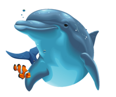 animals & Dolphin free transparent png image.