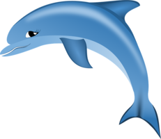 animals & Dolphin free transparent png image.