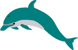 animals & Dolphin free transparent png image.