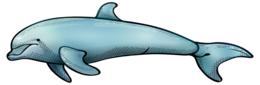 animals & dolphin free transparent png image.