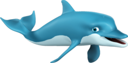 animals & dolphin free transparent png image.