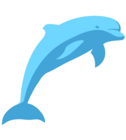 animals & dolphin free transparent png image.