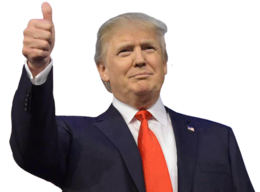 celebrities & donald trump free transparent png image.