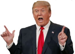 celebrities & donald trump free transparent png image.