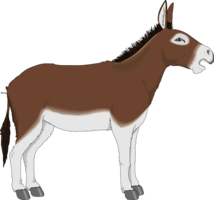 animals & Donkey free transparent png image.