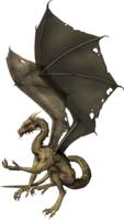 fantasy & Dragon free transparent png image.