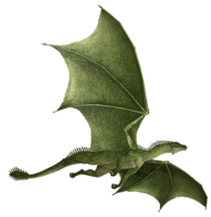 fantasy & dragon free transparent png image.