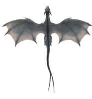 fantasy & dragon free transparent png image.