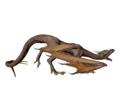 fantasy & dragon free transparent png image.