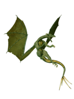 fantasy & dragon free transparent png image.