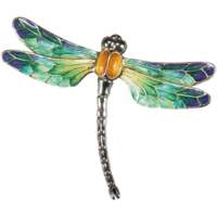 insects & dragonfly free transparent png image.