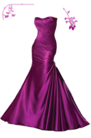 clothing & Dress free transparent png image.