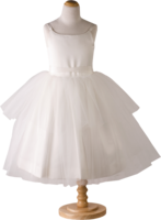 clothing & Dress free transparent png image.
