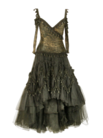 clothing & Dress free transparent png image.