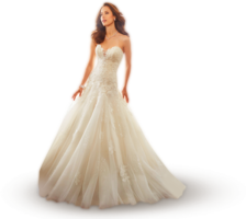 clothing & dress free transparent png image.