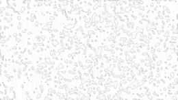 Drops&nature png image