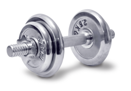 sport & dumbbell hantel free transparent png image.