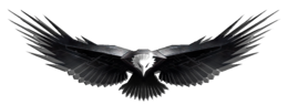 animals & Eagle free transparent png image.