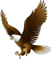 animals & Eagle free transparent png image.