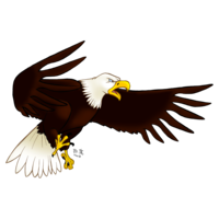 animals & eagle free transparent png image.