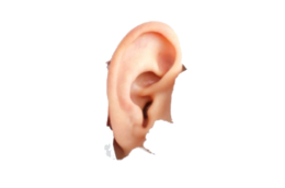 people & ear free transparent png image.