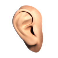 people & ear free transparent png image.