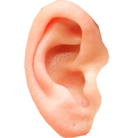 people & ear free transparent png image.