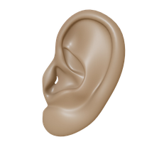 people & ear free transparent png image.